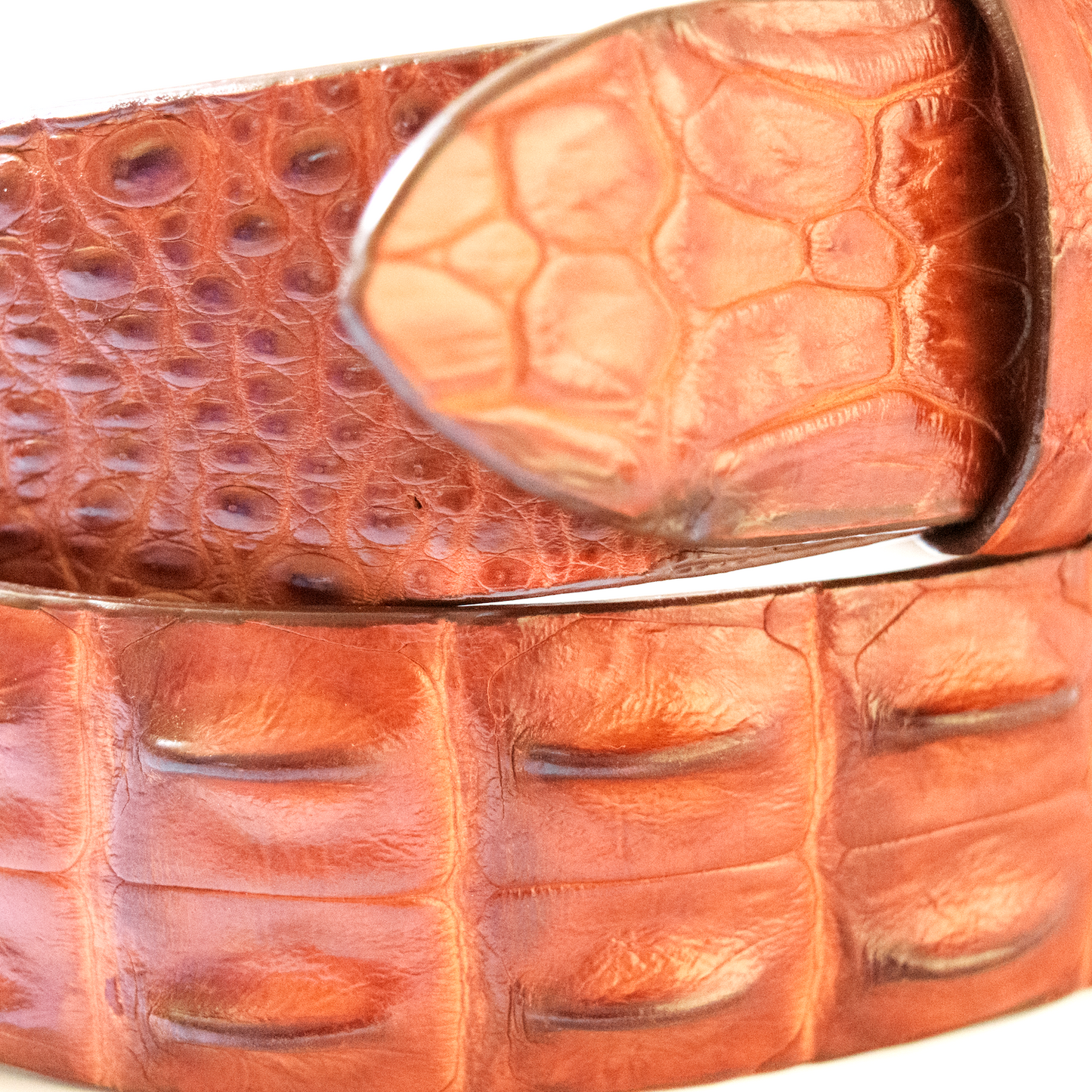 Grady Ervin & Co. Cognac Crocodile Belt